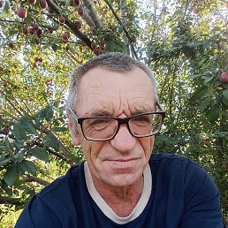 �������, 53 ����, ���������