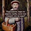  , , 55  -  16  2024    