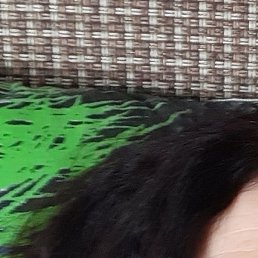 ������, �����-���������, 51 ���