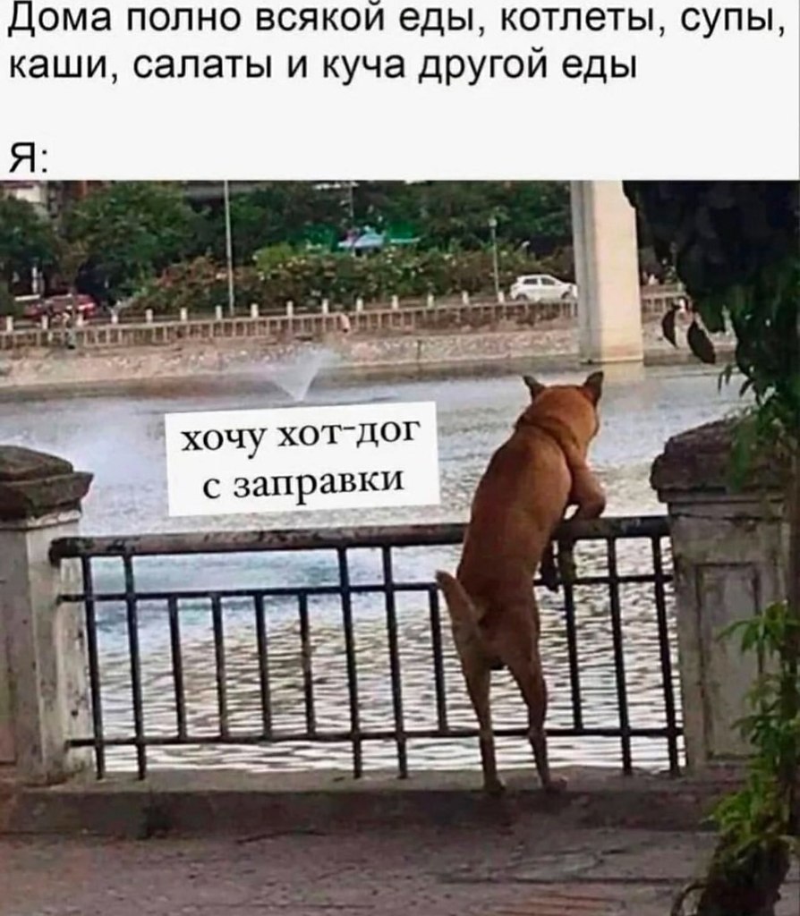   - 13  2025  22:09