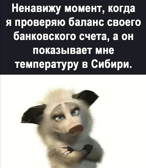   ! - 23  2024  08:33
