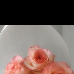 ���� �����, ���������, 39 ��� - ��������� 26 ������ 2026