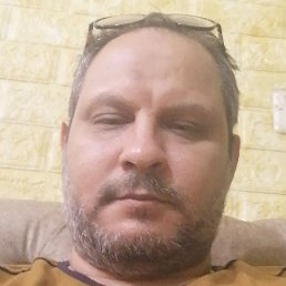 Bv, ������, 51 ���
