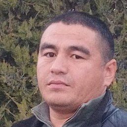 �������, ������, 37 ���