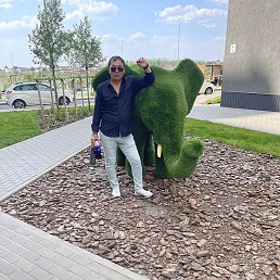 ����, �����, 65 ���