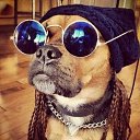 ���� Witja, ������, 23 ���� - ��������� 19 ������� 2023 � ������ ���� ����������