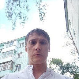 �����, 41 ���, ���