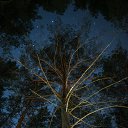 ���� �������, ������������, 67 ��� - ��������� 4 ��� 2025 � ������ ������ ��������