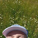 ���� �����, ���������, 44 ���� - ��������� 17 ������� 2024 � ������ ���� ����������