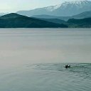 ���� �����, �������, 58 ��� - ��������� 1 ������� 2024 � ������ ������ ��������