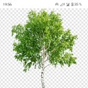 ���� ������� ������, �����, 60 ��� - ��������� 14 ������� 2025 � ������ ���� ����������