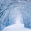 ���� �������, ������, 37 ��� - ��������� 5 ������� 2026 � ������ ���� ����������