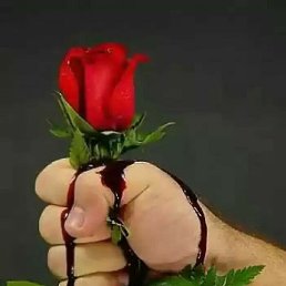 ���� Sardor, �������, 25 ��� - ��������� 2 ������� 2024