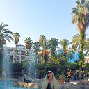  , --, 48  -  1  2025