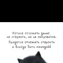 ���� �����, �����������, 46 ��� - ��������� 23 ���� 2025 � ������ ���� ����������