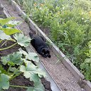 ���� **������**, ����� - ��������� 16 ������ 2025 � ������ ������ ��������