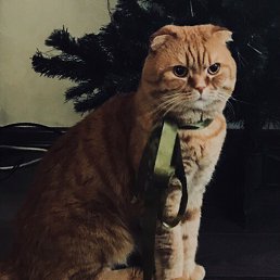 ���� �., �������, 69 ��� - ��������� 9 ��� 2024