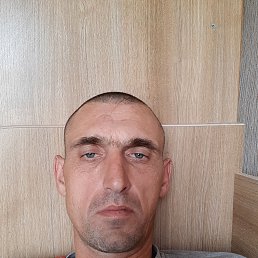 , 41, 