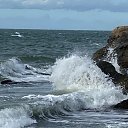 ���� �����, ������, 64 ���� - ��������� 28 ������� 2024 � ������ ���� ����������