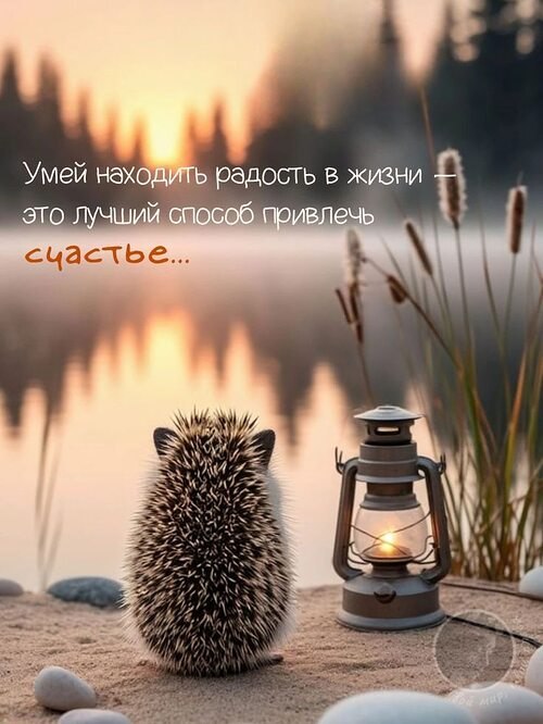   ! - 18  2025  07:11