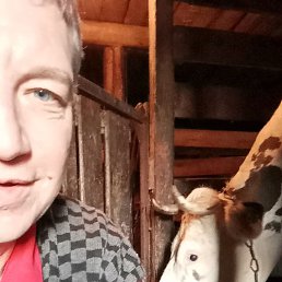 ���� �����, �����������, 50 ��� - ��������� 20 ��� 2025