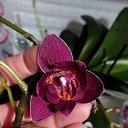 ���� �������, ������ - ��������� 14 ������� 2025 � ������ ���� �������