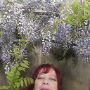 ���� �������, ʸ���, 64 ���� - ��������� 12 ���� 2025