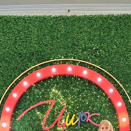 ���� ��������, ������������, 48 ��� - ��������� 1 ������ 2026