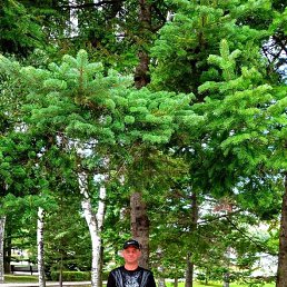 ���� ���������, �����������, 40 ��� - ��������� 15 ������� 2025