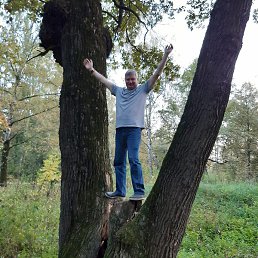 ���������, ������, 68 ���