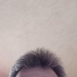 �������, ������������, 58 ���