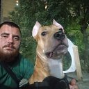 ���� ������, ������-��-����, 29 ��� - ��������� 7 ������ 2026 � ������ ���� ����������