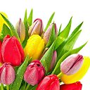 ���� ������, ������, 50 ��� - ��������� 8 ����� 2026 � ������ ������ ��������