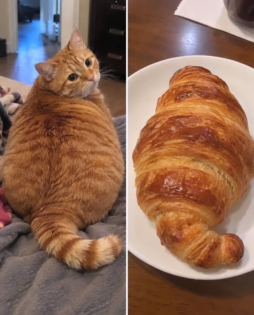 �� ���� ������� ������� =�>