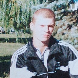 ������, 39 ���, ���������