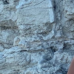 ������, �����, 36 ���