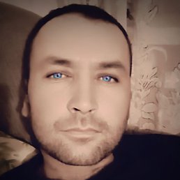 ������, ���������, 41 ���