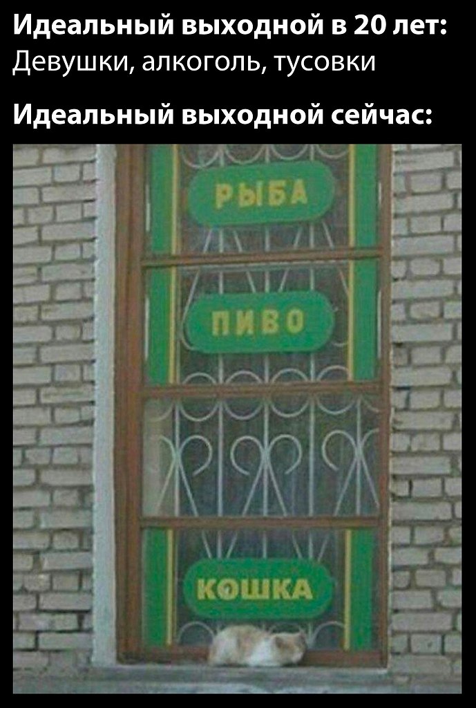 ���� - 10 ���� 2025 � 20:26