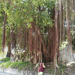 ���� ��������� �������, ������, 55 ��� - ��������� 17 ���� 2025