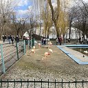 ���� �����, ������������ - ��������� 10 ����� 2026 � ������ ������ ��������