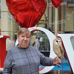 ���� ��������, ������������, 66 ��� - ��������� 17 ������� 2025