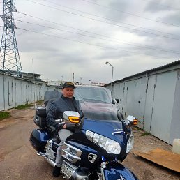 ���� �������, ������, 54 ���� - ��������� 16 ������ 2026