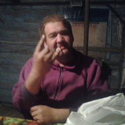 �������, 42 ����, �������