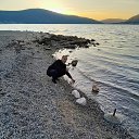 ���� ������, ������, 45 ��� - ��������� 11 ������ 2024 � ������ ���� ����������