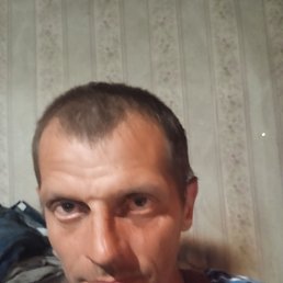 , 42, 