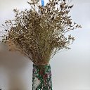 ���� �����, ���������, 57 ��� - ��������� 27 ������� 2026 � ������ ������ ��������