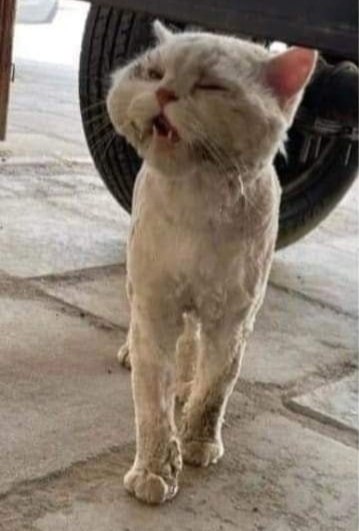 ���� � �����! ������� ��� ���� � �������� � ������ �������!