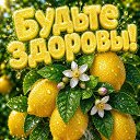 ���� ����, ����� - ��������� 10 ��� 2026 � ������ ������ ��������