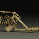 ���� ����, �����������, 47 ��� - ��������� 15 ������ 2025 � ������ ������ ��������