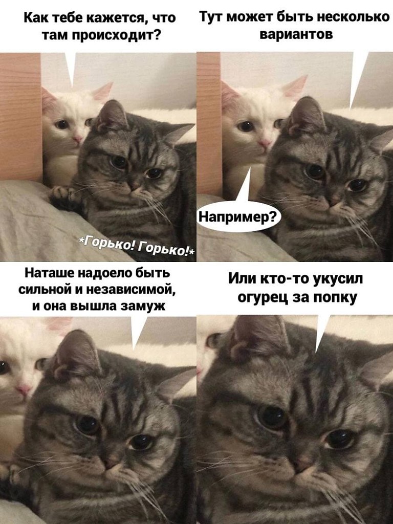 ОБО ВСЕМ - 11 октября 2025 в 15:27